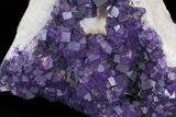 Purple, Cubic Fluorite Plate - Cave-in-Rock (Special Price) #35710-6